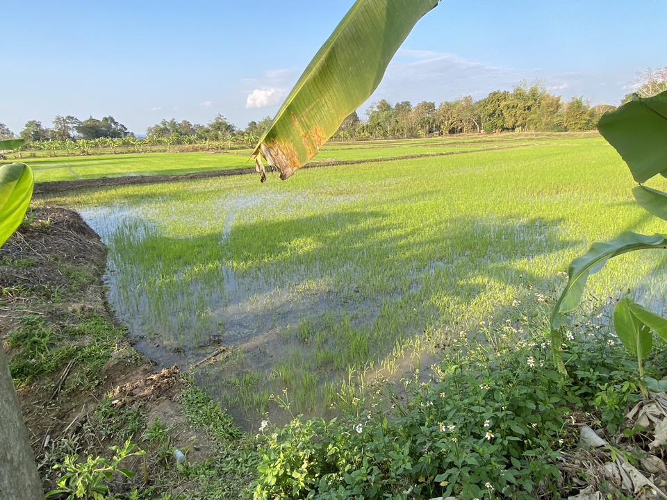 title - หัวหน้าผู้ตรวจราชการ ส.ป.ก. (เขต 3,15 และ 16) ประชุมตรวจติดตามความก้าวหน้าการดำเนินงานตามแผนงานตรวจราชการ ประจําปีงบประมาณ 2569 รอบที่ 1 ณ จังหวัดเชียงราย